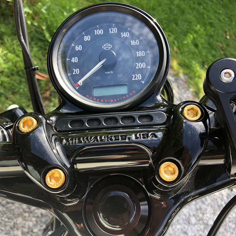 Riser Schrauben Sportster