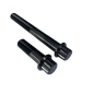 Preview: Bremssattel Schrauben | pass. f. Harley Davidson | Titan Gr. 5