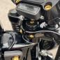 Preview: Gabelschaft Schraube - pass. f. Softail ab 18