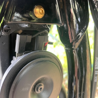 Hupen Schraube Harley Softail gold