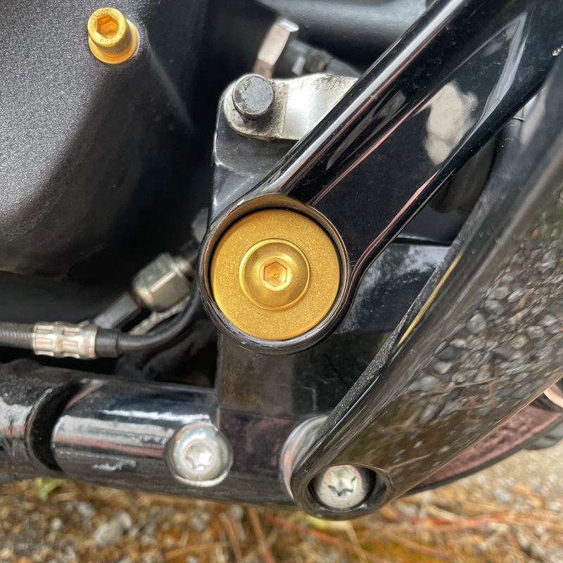 Bremspedal Schrauben - Harley Softail