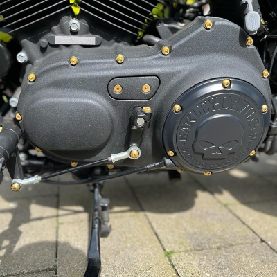 Schrauben Schaltstange | pass. f. Sportster