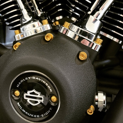 Motorschrauben Set - pass. f. Touring Milwaukee-Eight