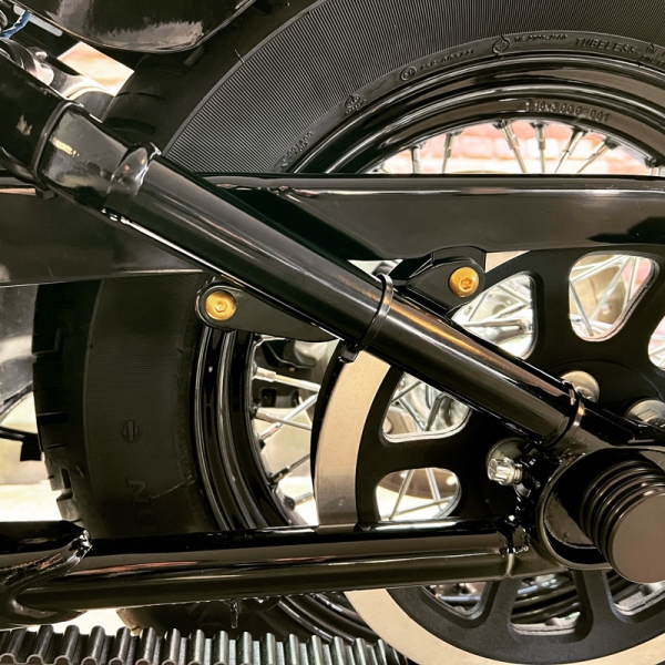 Riemenschutz Schrauben Softail
