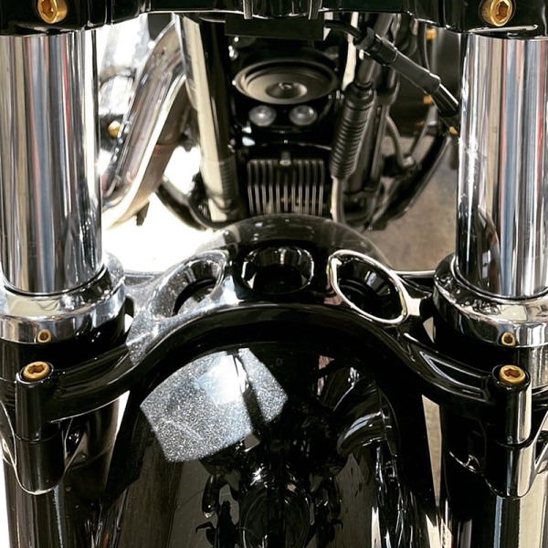 Schrauben Front Fender Sportster