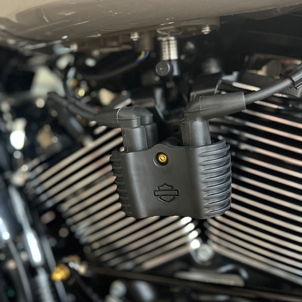 Harley ECM Schraube