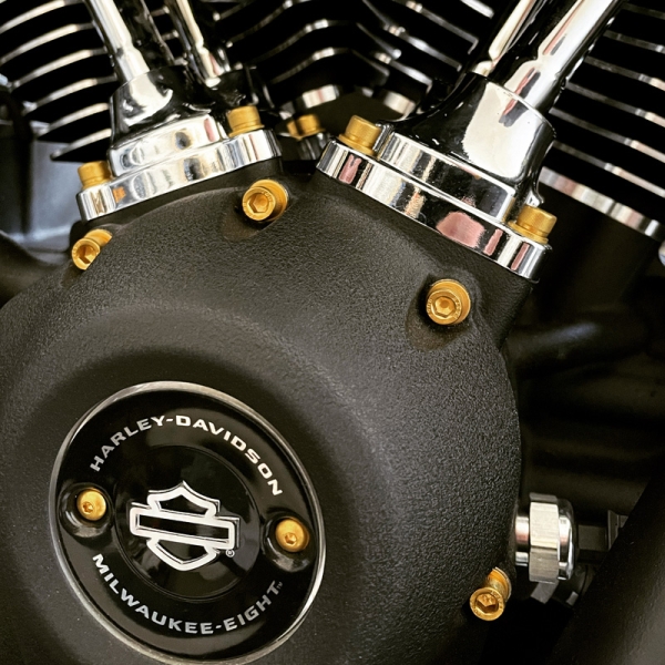 Motorschrauben Set - pass. f. Touring Milwaukee-Eight