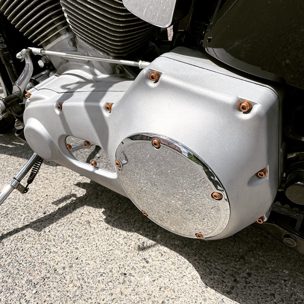 Motorschrauben Set - pass. f. Softail Milwaukee-Eight