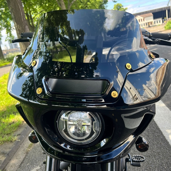 Windschild Schrauben - pass. f. Low Rider ST