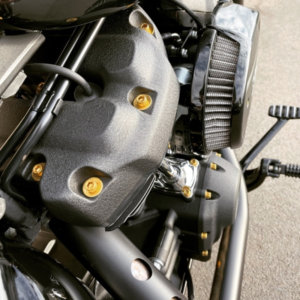 Motorschrauben Set - pass. f. Softail Milwaukee-Eight